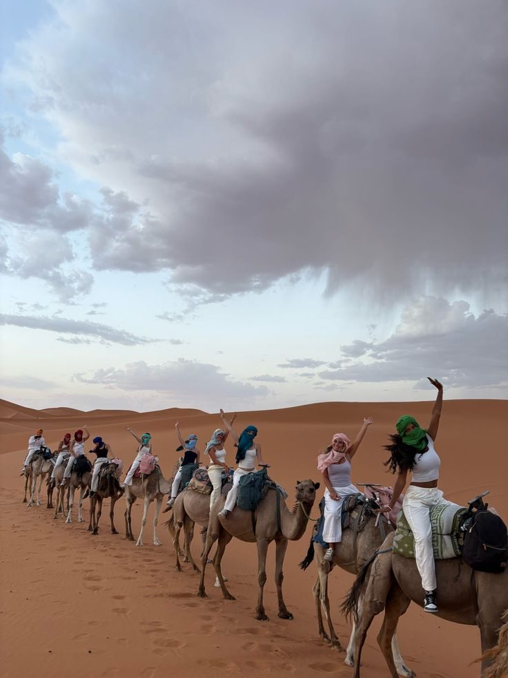 Group camel travel Morocco